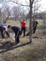 Школьный субботник